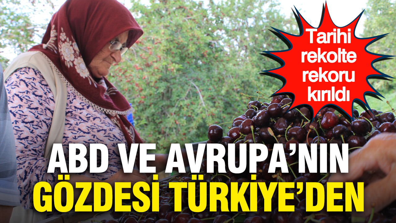 ABD ve Avrupa’nın gözdesi Türkiye’den: Tarihi rekolte rekoru kırıldı Haber gorseli