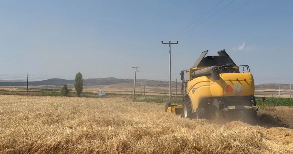 Eskişehir’de 77 tonluk arpa hasadı Img