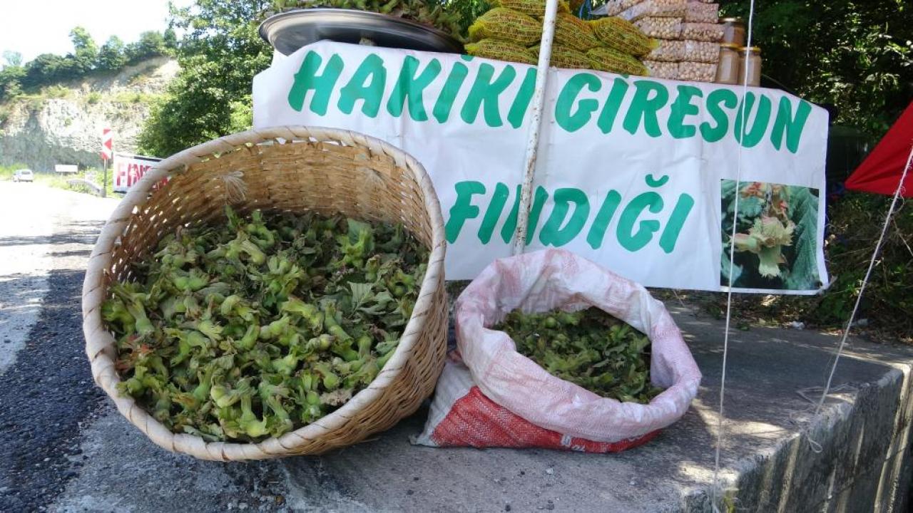 Yeni sezonun ilk fındığı! Kilosu 200 TL Yeni sezonun ilk findigi kilosu 200 tl S6jcNYYT